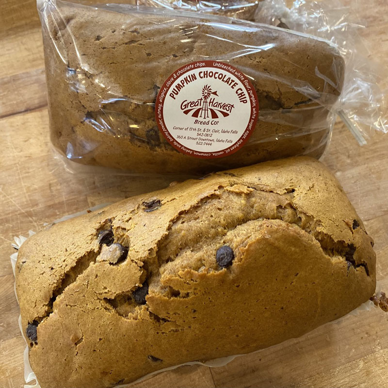 Pumpkin Chocolate Chip