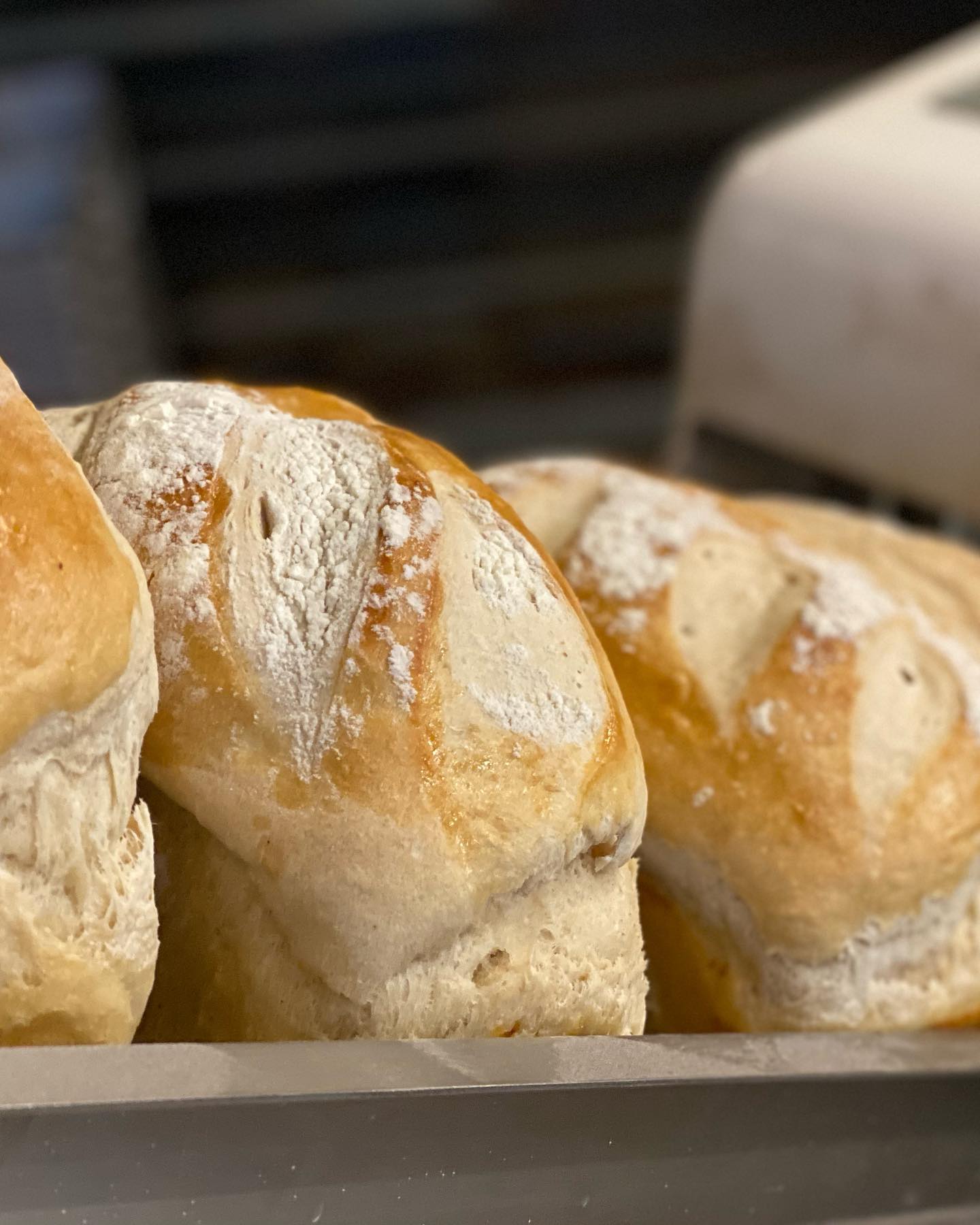 Breads